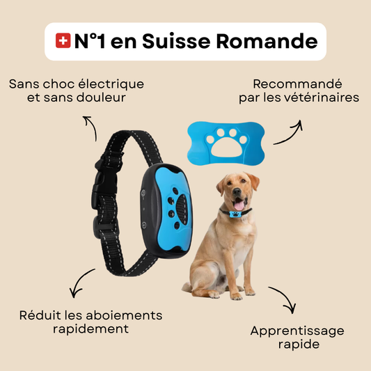Collier anti aboiement Pour chiens